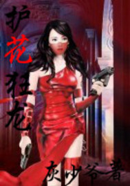 护花狂龙易军TXT下载奇书网