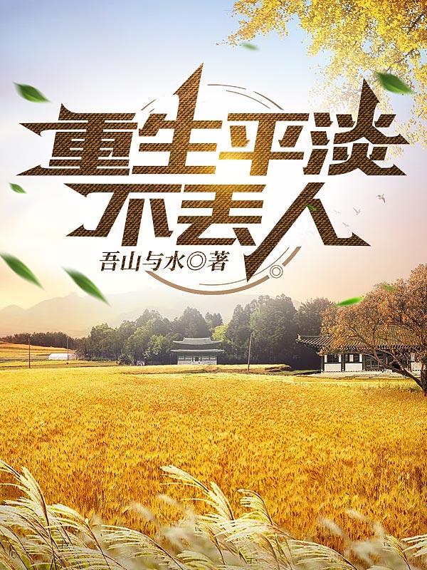 重生平平淡淡的小说