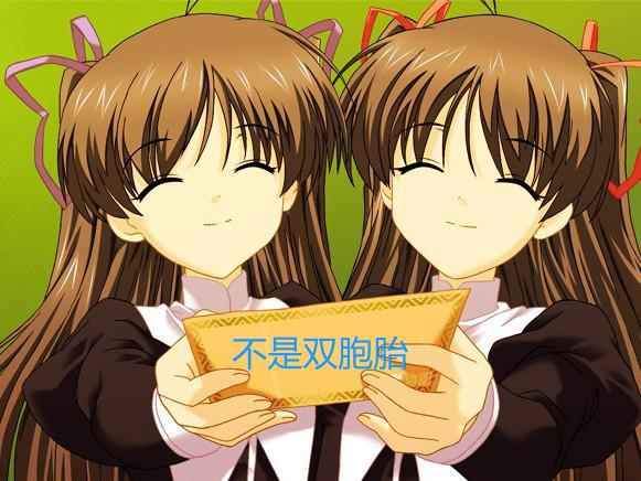 不是双胞胎却极其相像的人