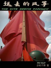 远去的风筝TXT