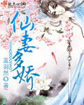 仙妻小说免费阅读