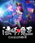 魔法师与王子